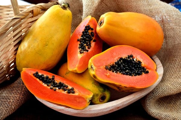 papaya hangi hastalığa iyi gelir