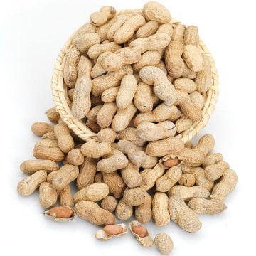 Kabuklu Çiğ Yer Fıstığı 750gr