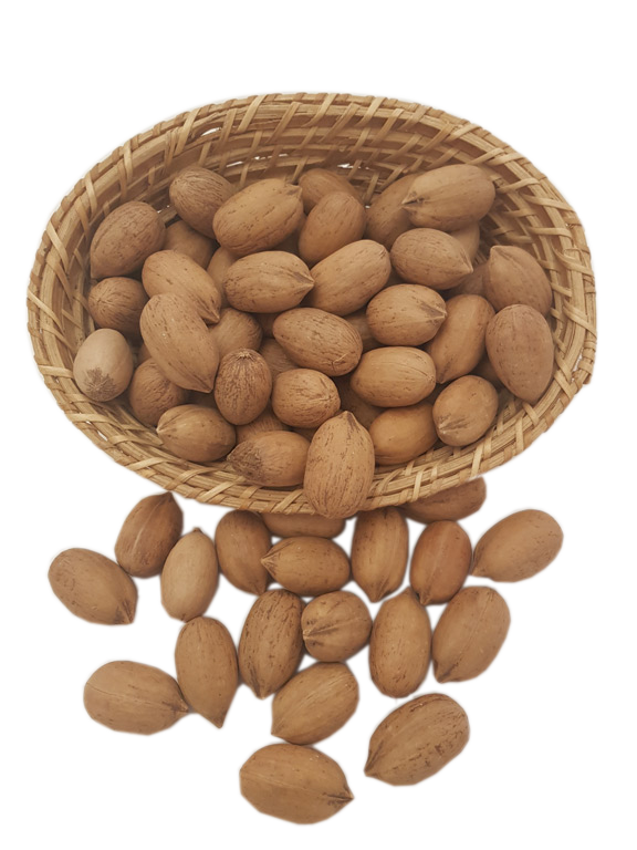 Kabuklu Pikan Cevizi 1 kg