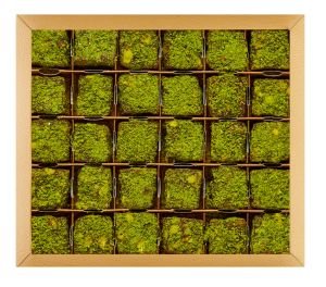 Hediyelik Kutuda Toz Antep Kaplı Antep Fıstıklı 500gr Vegan, Glikozsuz Lokum (Deri Desenli Kutu)