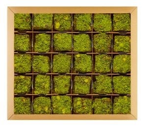 Hediyelik Kutuda Toz Antep Kaplı Antep Fıstıklı 500gr Vegan, Glikozsuz Lokum (Deri Desenli Kutu)