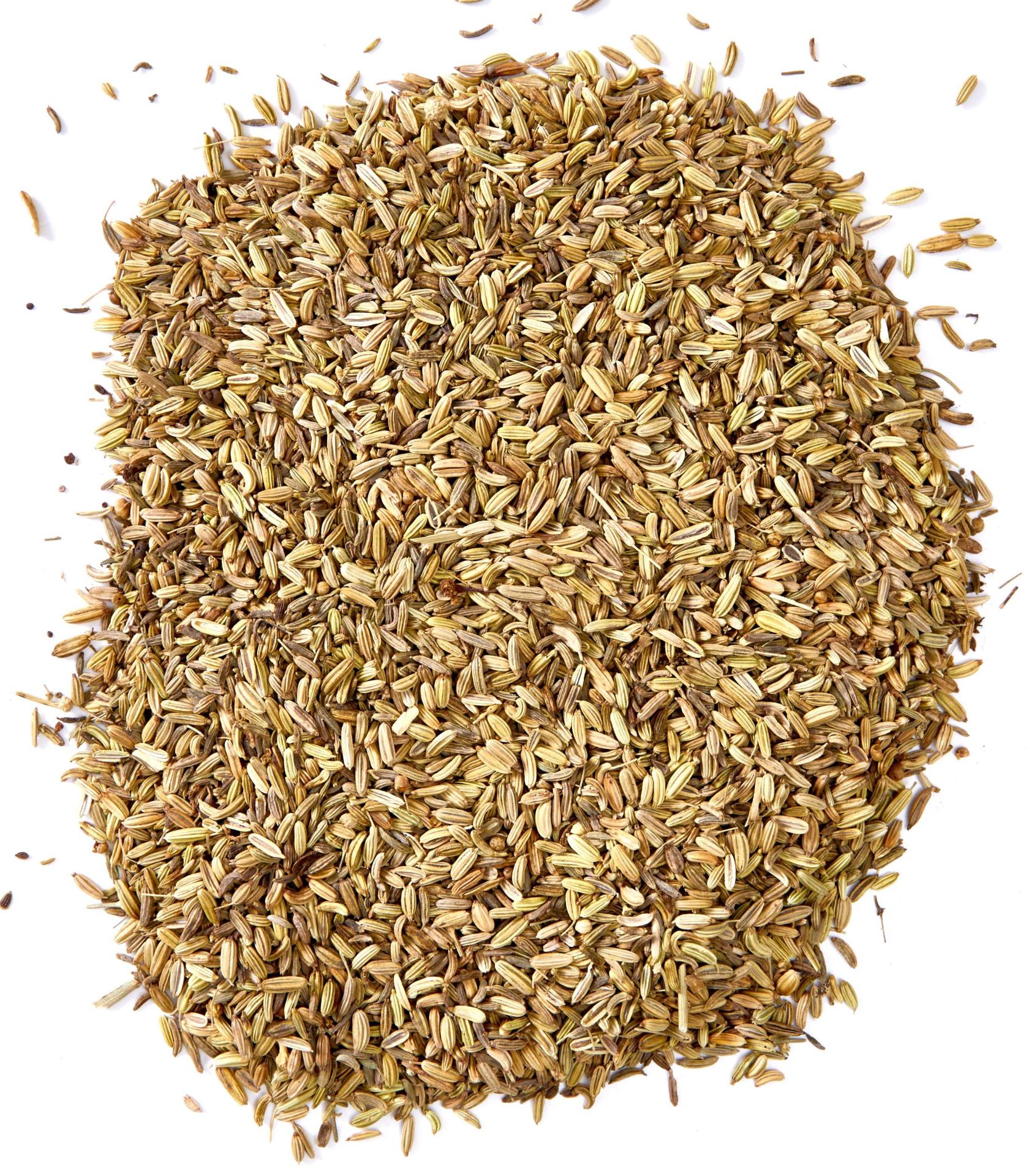 Rezene Kurusu 500 gr