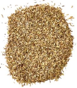 Rezene Kurusu 500 gr